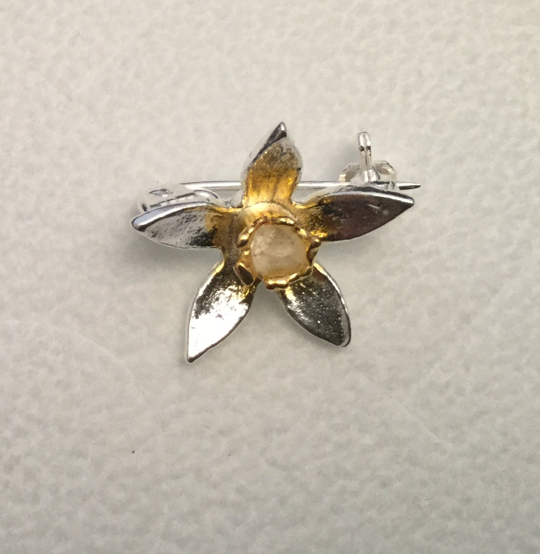 Spring Has Sprung Brooch