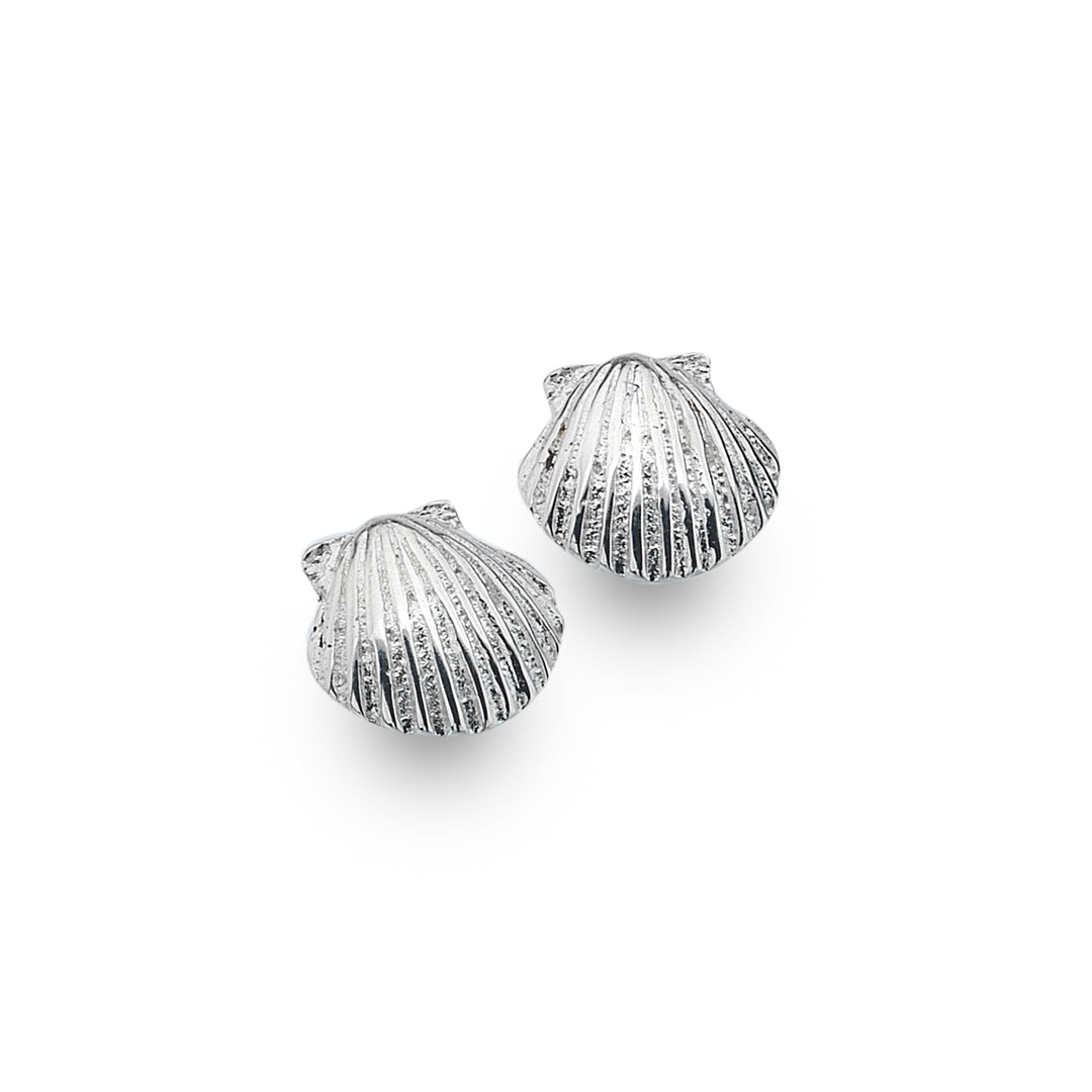 Scallop Shell Stud Earrings