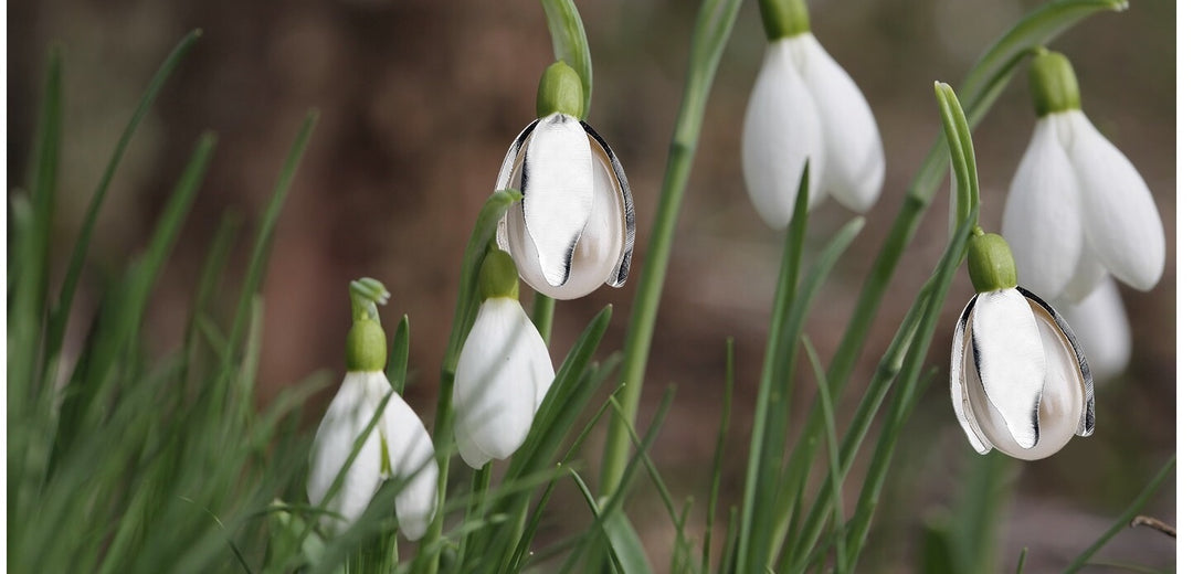 Snowdrop with Fresh Water Pearl Pendant