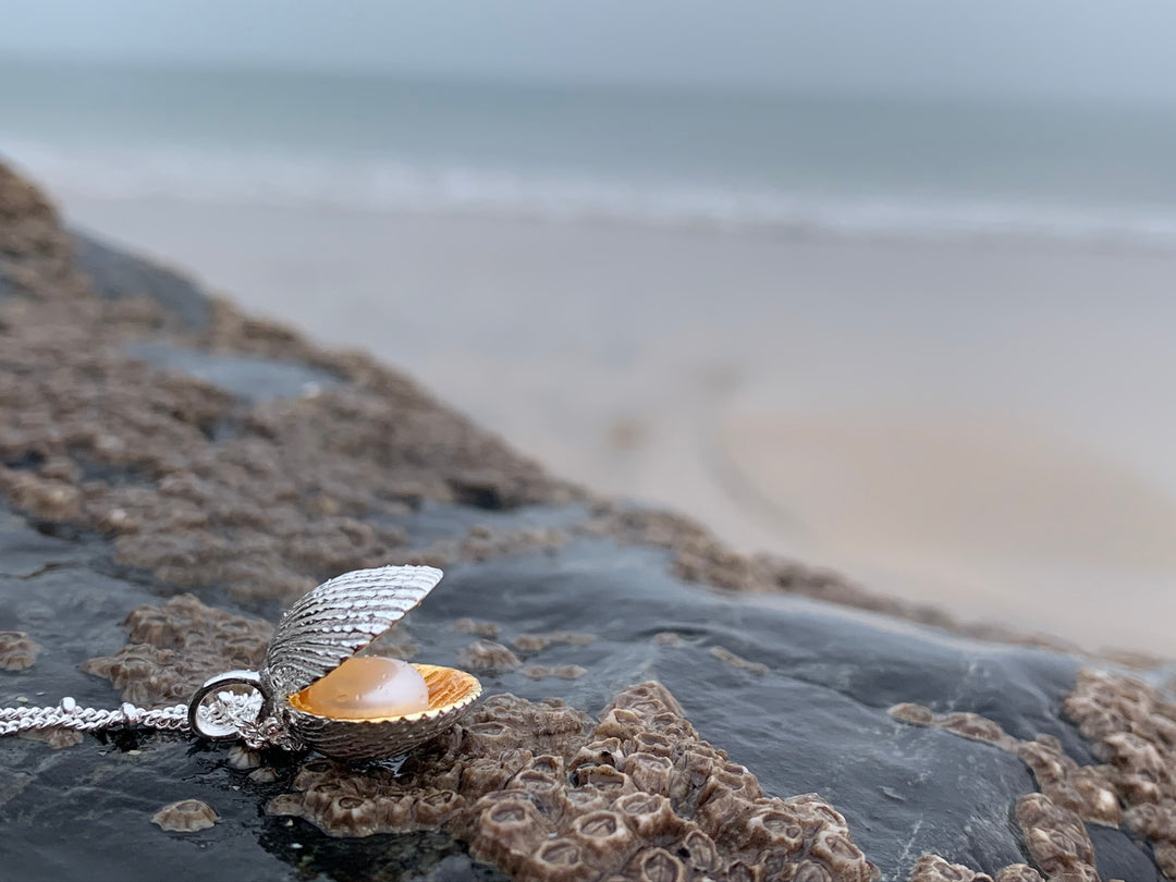 Shell with Pearl Pendant