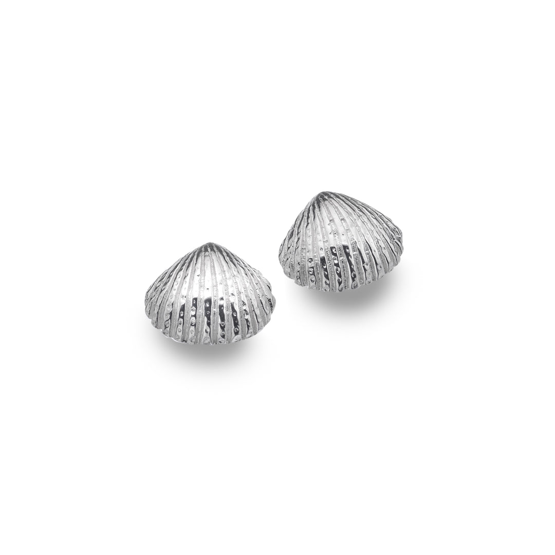 Cockle Shell Stud Earrings