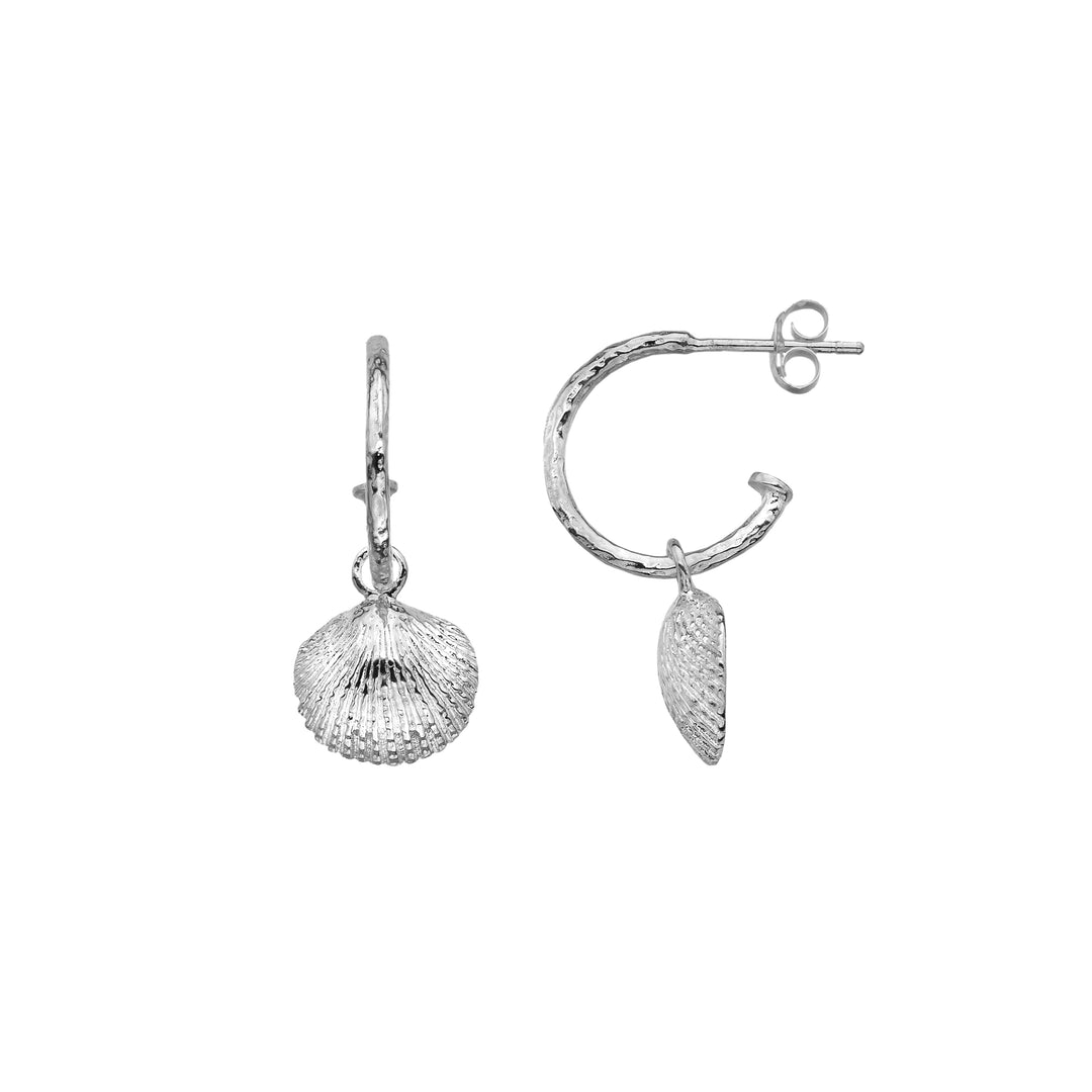 Cockle Shell Stud Earrings