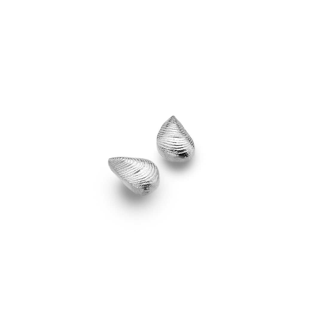 Mussel Stud Earrings