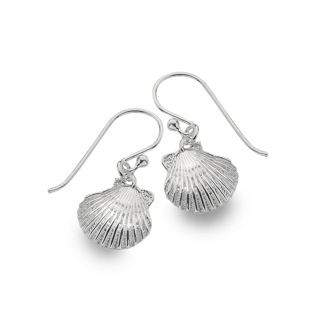 Scallop Shell Stud Earrings