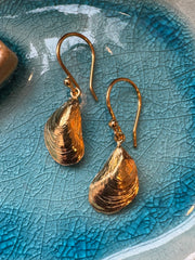 Mussel Shell Earrings