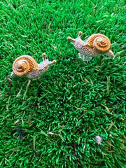 Snail Stud Earrings