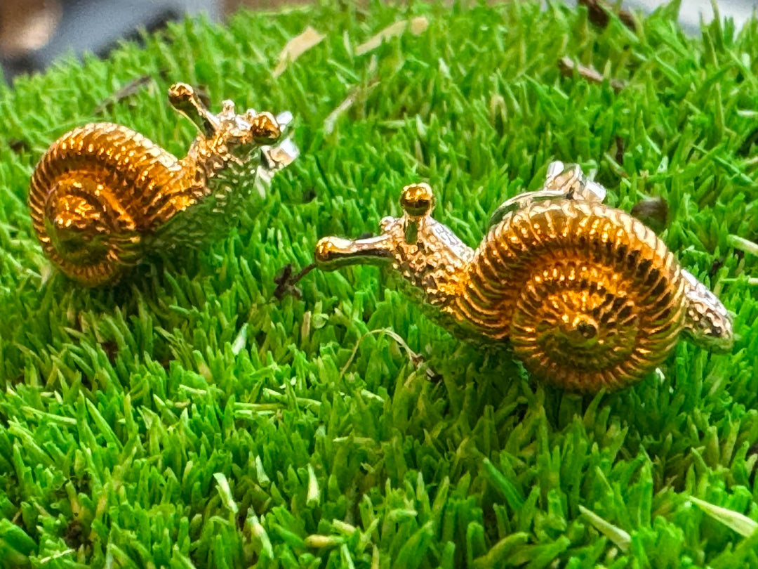 Snail Stud Earrings