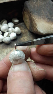 Shell with Pearl Pendant