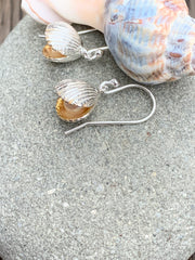 Shell with pearl earrings