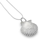 Scallop Shell Stud Earrings