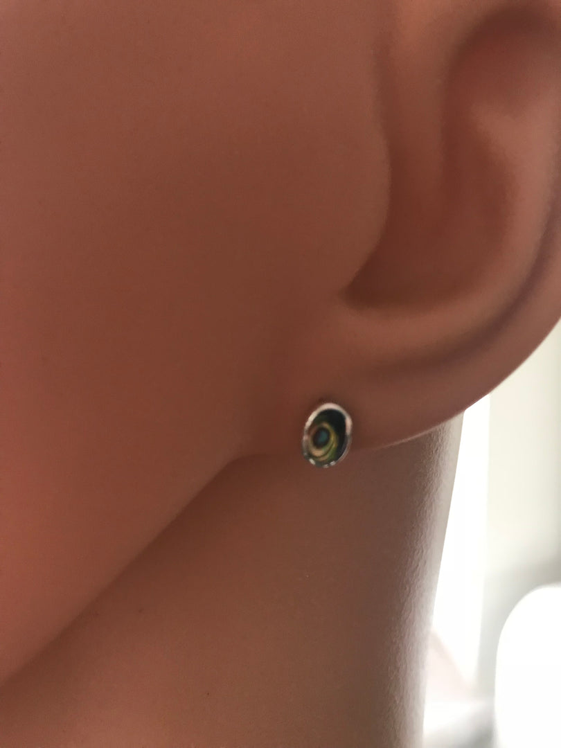 Paua Shell Stud Earrings