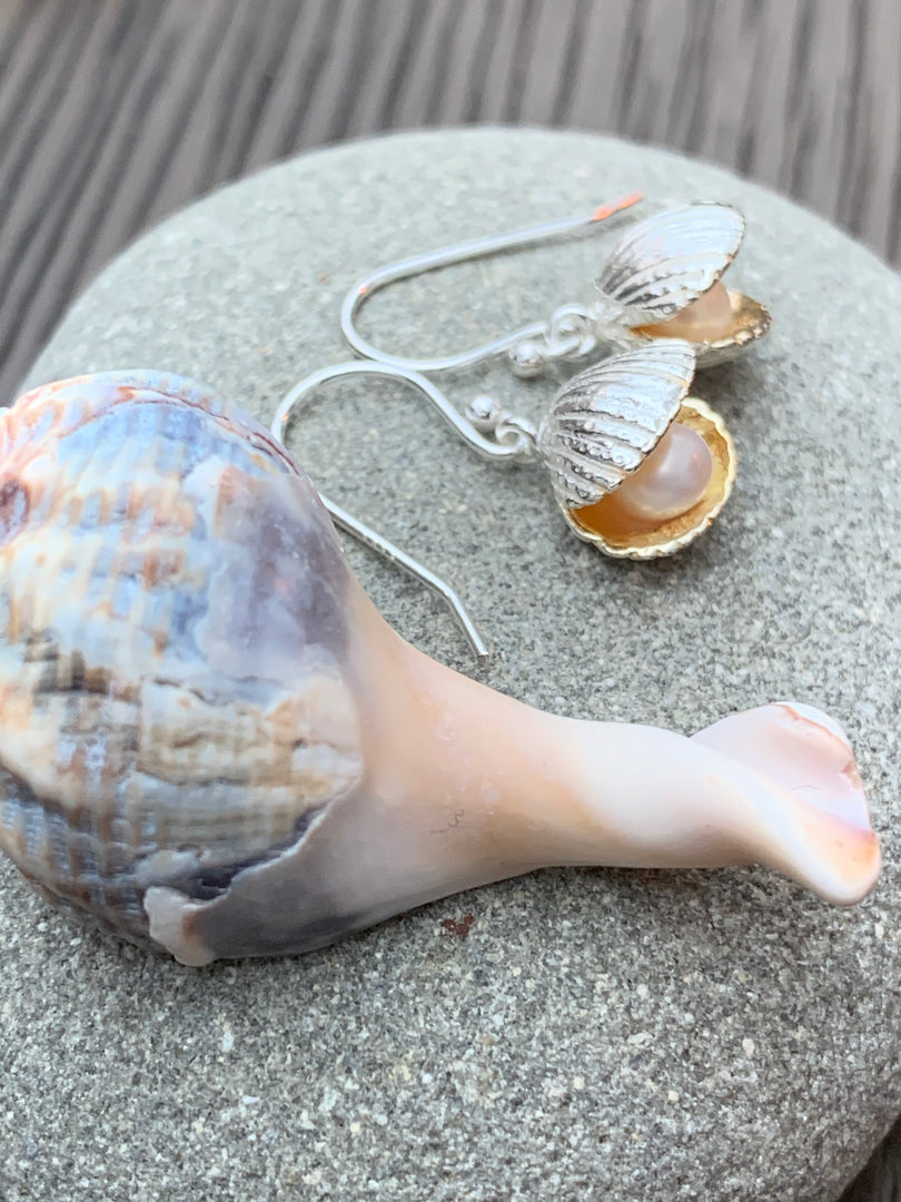 Shell with pearl earrings